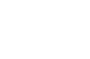 Matrix Learning Logo - White